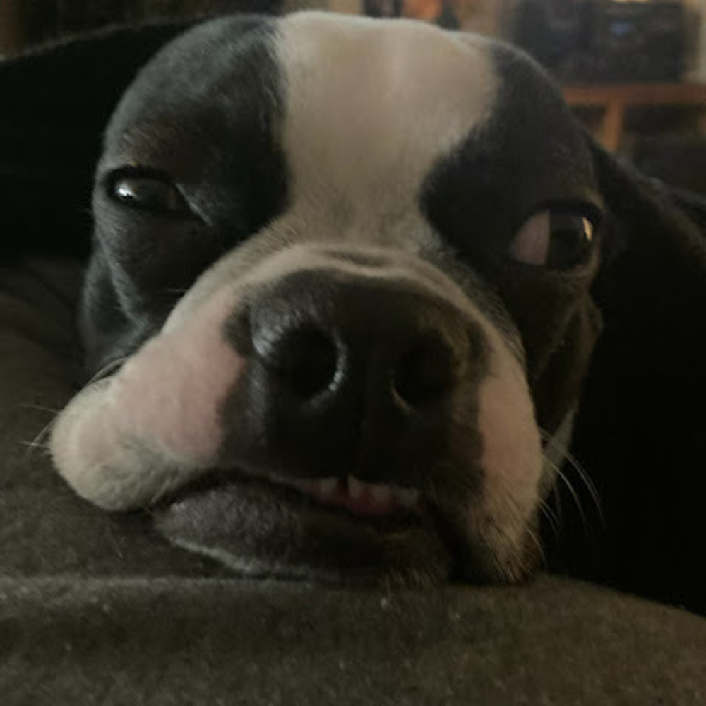 Meet your Posher, Elayna